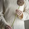 Allium stilkblomst