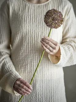 Allium stilkblomst