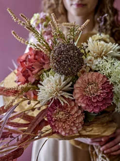 Allium stilkblomst