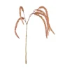 Amaranth stilkblomst