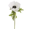 Anemone stilkblomst
