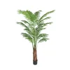 Arecapalme potteplante