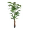 Arecapalme potteplante