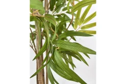 Bambus potteplante