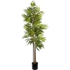 Bambus potteplante