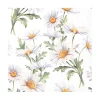 Beautyful daisies serviett 20pk