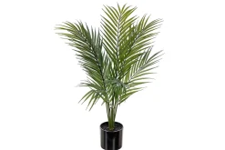 Bergspalme potteplante