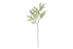 Bregne kvist/stilkblomst