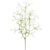 Brudeslør stilkblomst