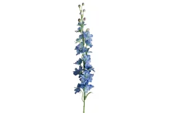 Delphinium stilkblomst