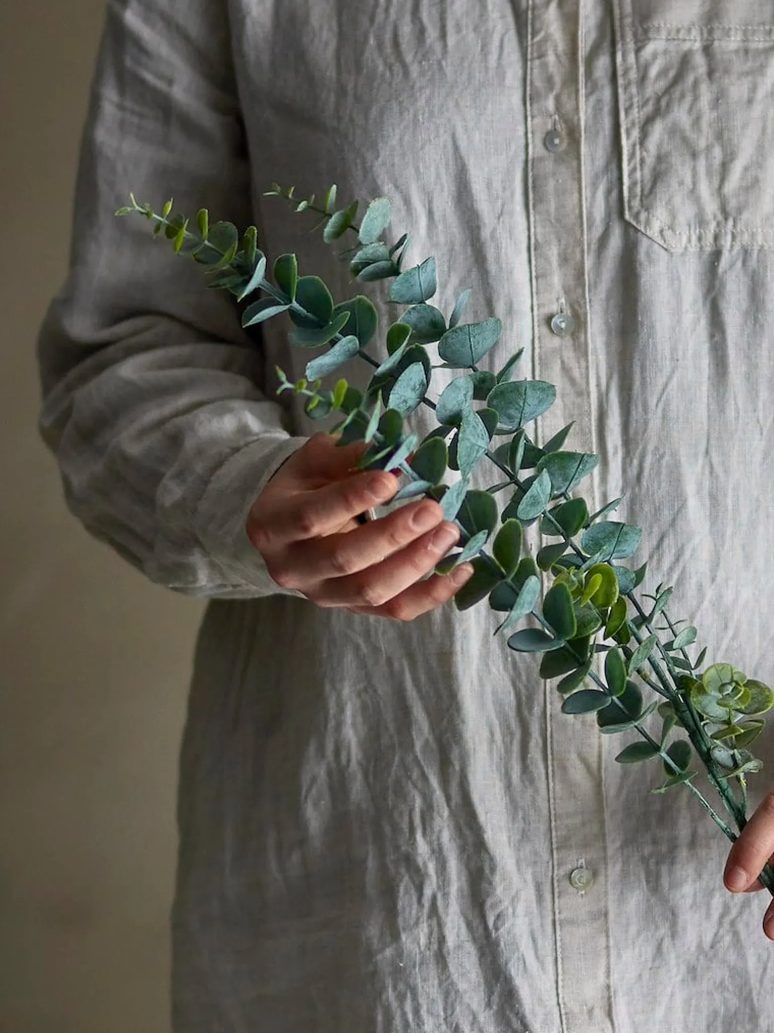 Eucalyptus kvist/stilkblomst