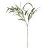 Eucalyptus kvist/stilkblomst
