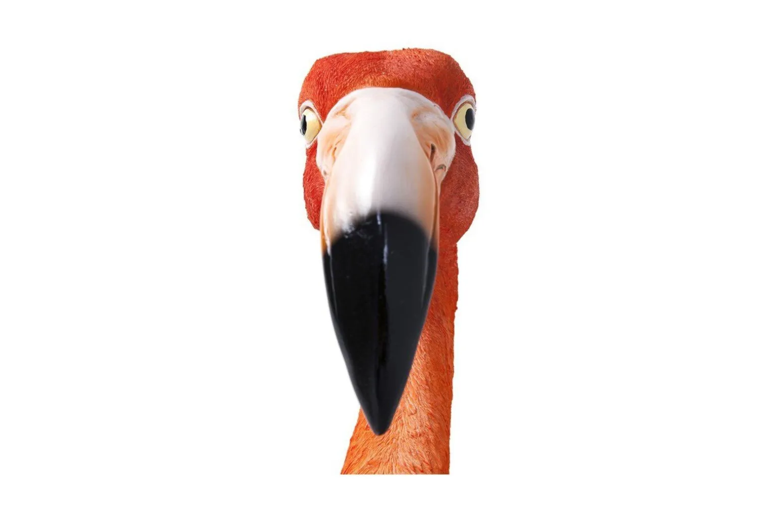 Flamingo Road veggdekorasjon