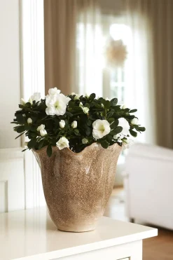 Florence vase