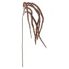 Foxtail kvist/stilkblomst