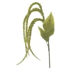 Foxtail kvist/stilkblomst