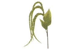 Foxtail kvist/stilkblomst