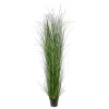 Gress potteplante