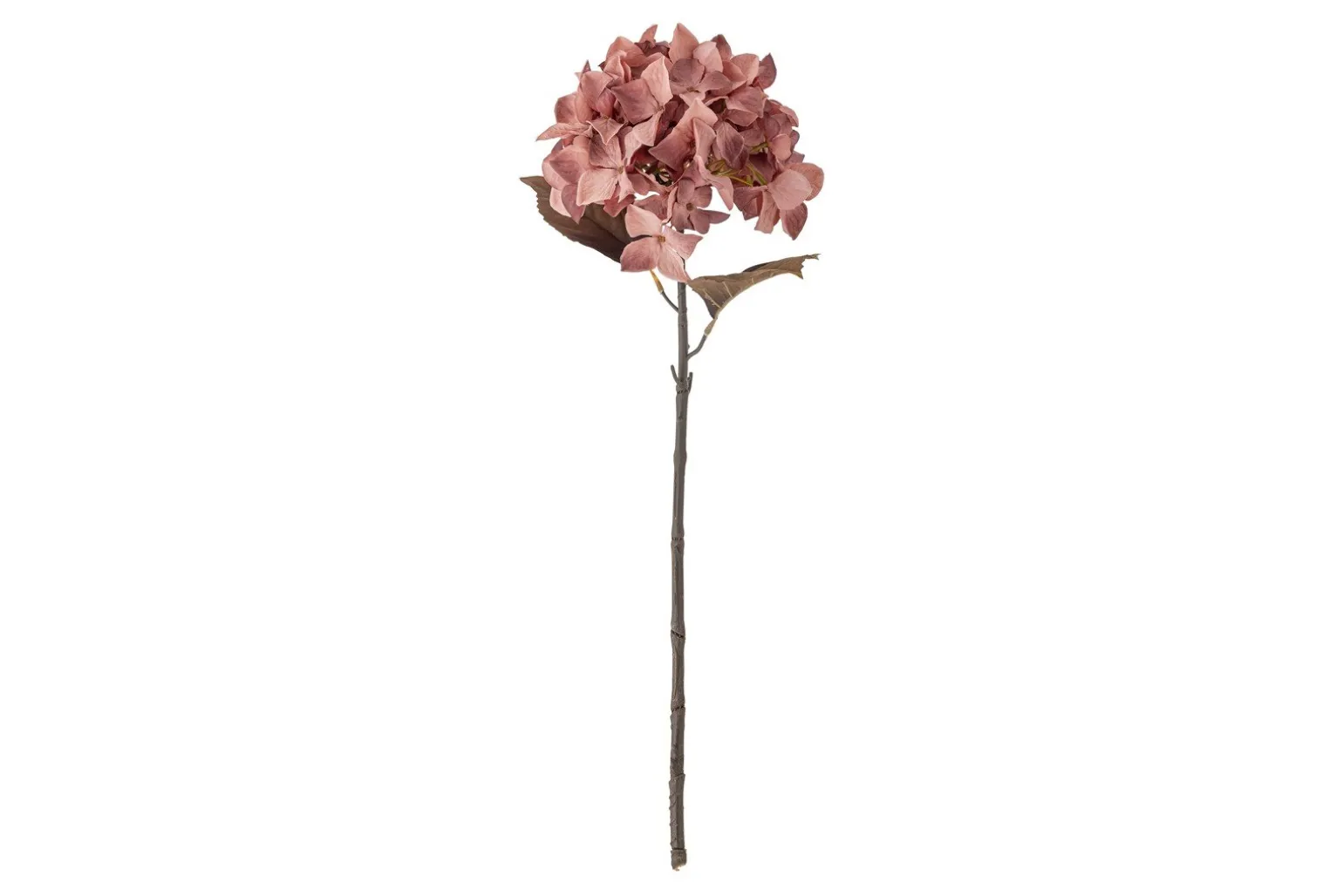Hortensia stilkblomst