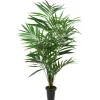 Kentiapalme potteplante