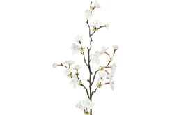 Kirsebærblomst kvist
