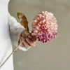 Krysantemum stilkblomst