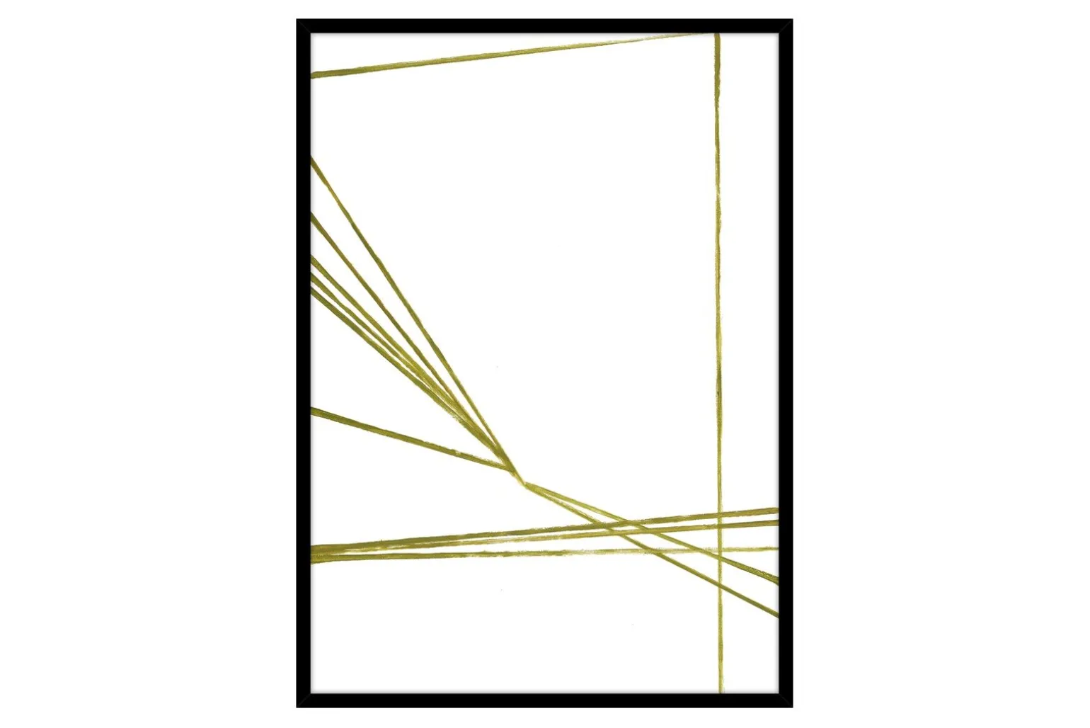 Lines Play