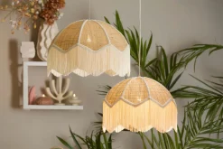Malacia taklampe