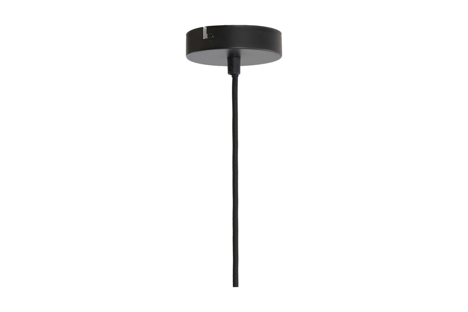 Malacia taklampe