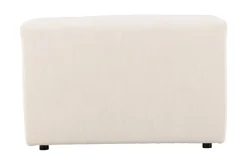 Mavi midtmodul