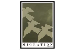 Migration