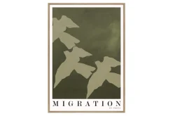 Migration