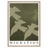 Migration