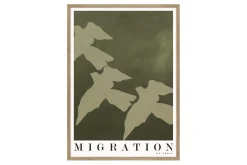 Migration