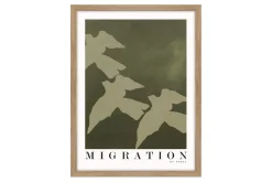 Migration