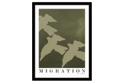 Migration