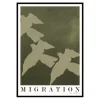 Migration
