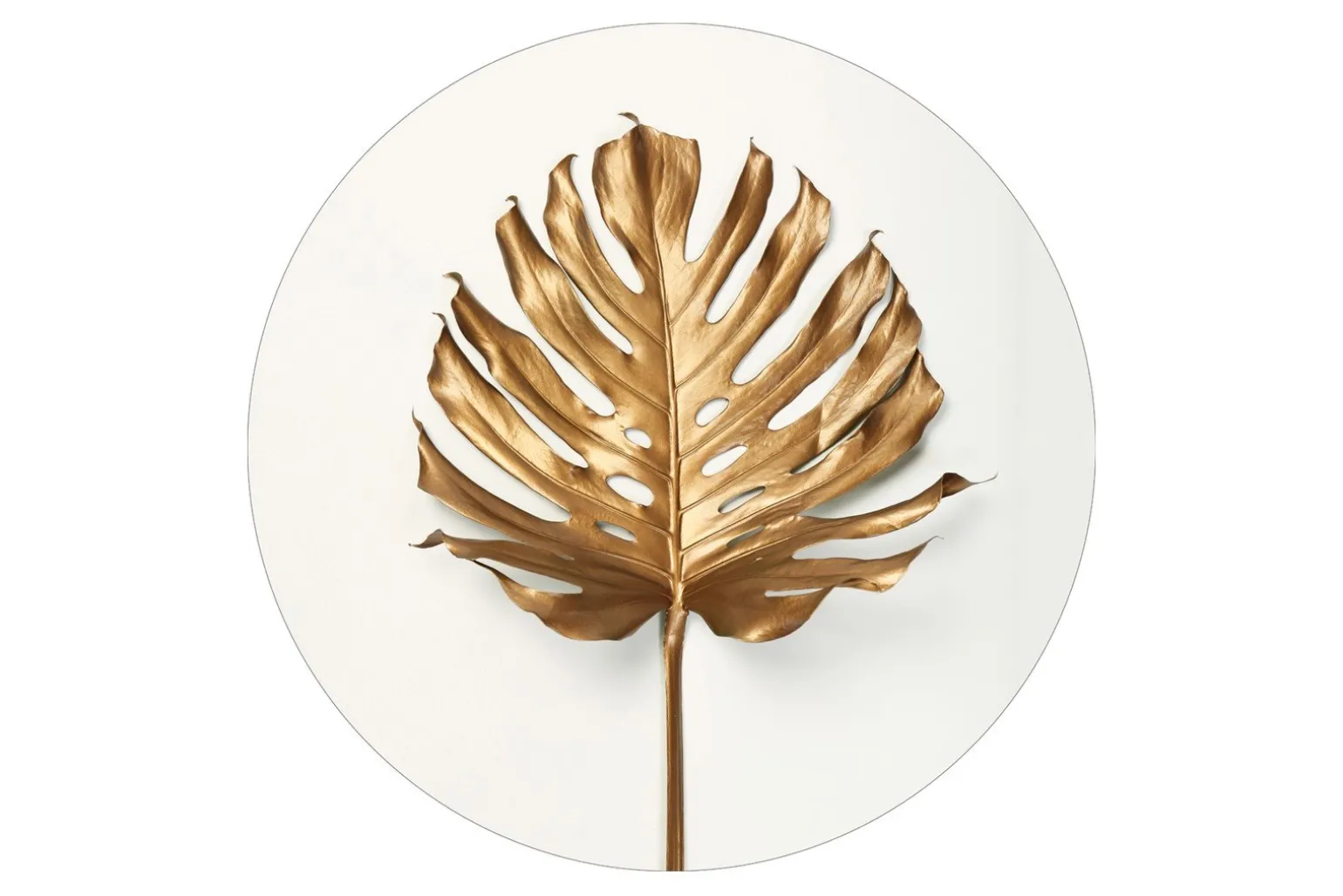 Monstrea gold leaf