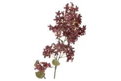 Myrt stilkblomst