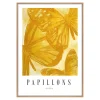 Papillons