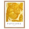 Papillons