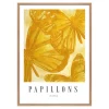 Papillons