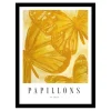 Papillons