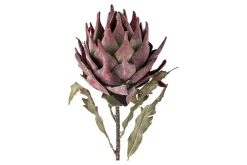 Protea stilkblomst