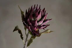 Protea stilkblomst