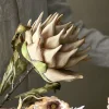 Protea stilkblomst