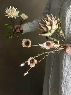 Protea stilkblomst