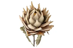 Protea stilkblomst