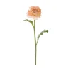 Ranunkel stilkblomst