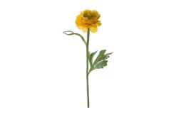 Ranunkel stilkblomst